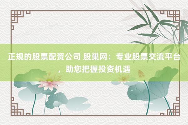 正规的股票配资公司 股巢网：专业股票交流平台，助您把握投资机遇