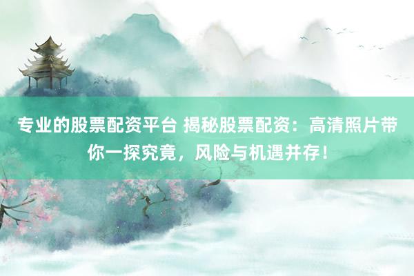 专业的股票配资平台 揭秘股票配资：高清照片带你一探究竟，风险与机遇并存！