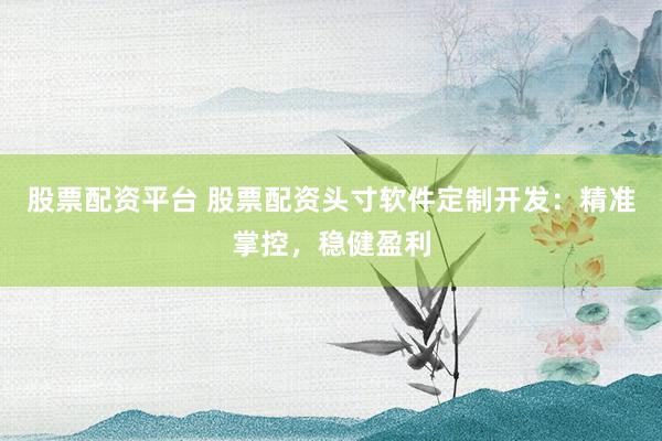 股票配资平台 股票配资头寸软件定制开发:精准掌控,稳健盈利