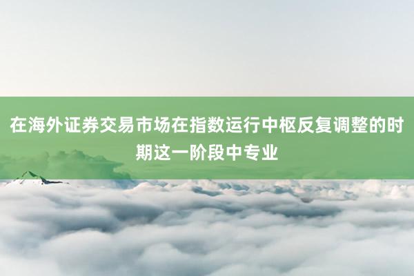 在海外证券交易市场在指数运行中枢反复调整的时期这一阶段中专业